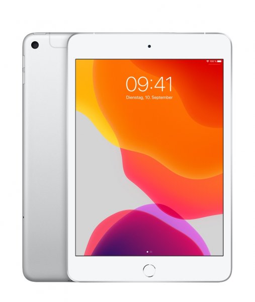 iPad mini (5. Generation)