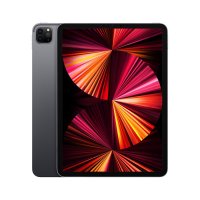 Apple iPad Pro 11" (3. Generation) Space Grau